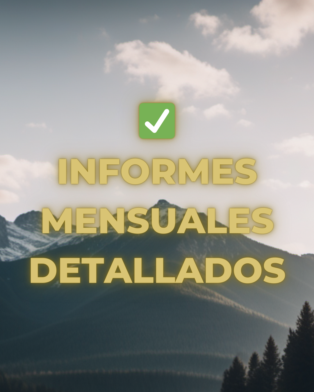 SEO integral con Informes mensuales detallados